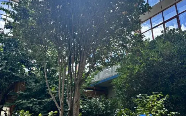Yongpu Linka Homestay