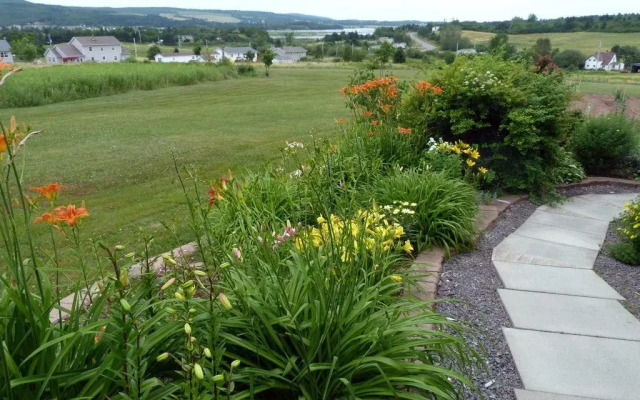 Rose and Thistle Bed and Breakfast