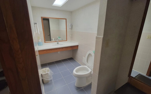 Ramada Saginaw Hotel & Suites