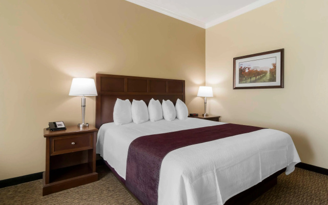 Best Western Plus Grapevine Inn