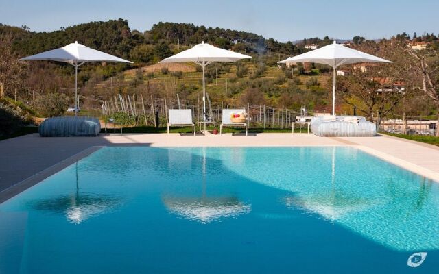 Buonamico Wine Resort