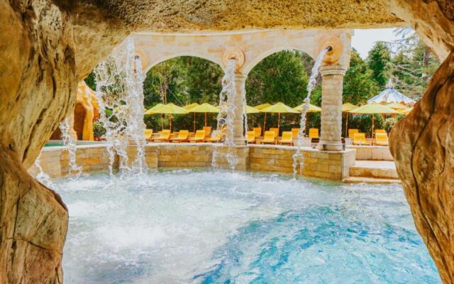 Dreamland Oasis