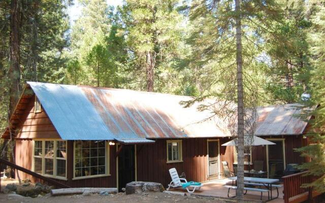 The Redwoods In Yosemite