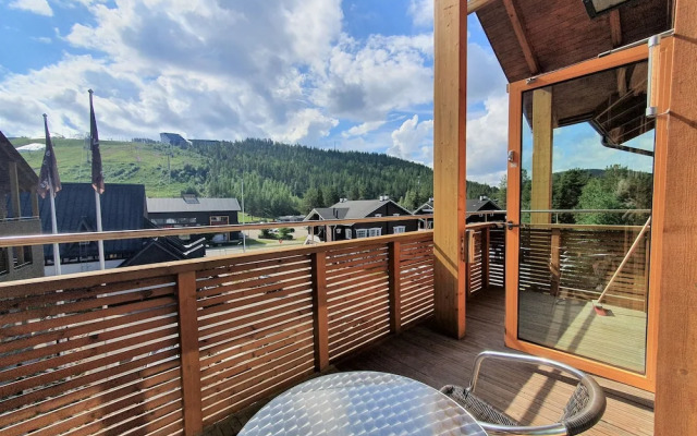 Levi Suites Levi Gold