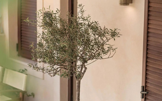 Manili Boutique Suites & Villas