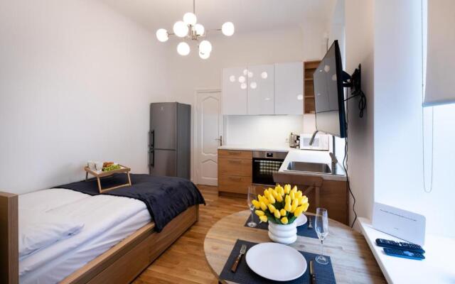 Brivibas House Design Apartments In City Center