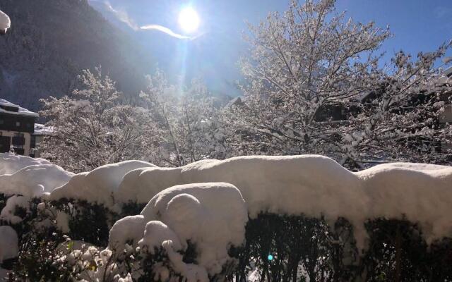 Le Chamois Blanc - 27