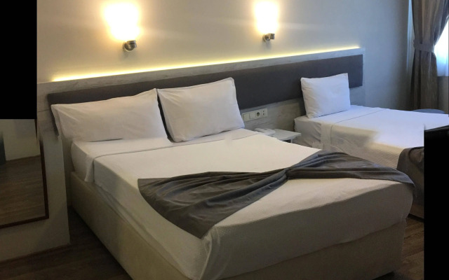 Hotel Temizay