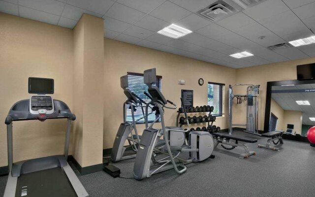 Hampton Inn & Suites Tampa Northwest/Oldsmar