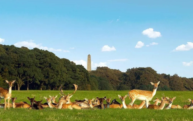 Central Dublin 2-bed Apartment -sleeps 5 & Parking