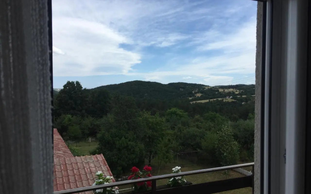 Pansion "Dušica"