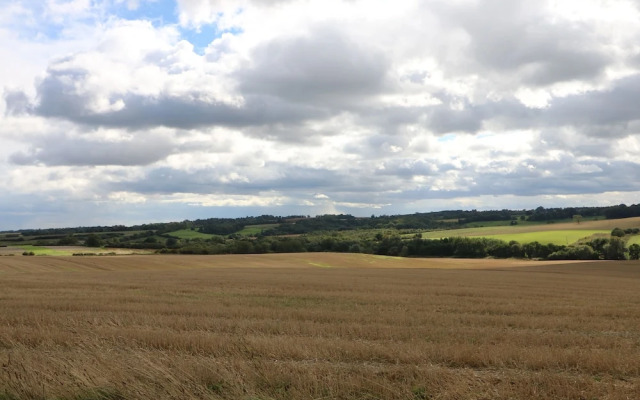 The Pinfold