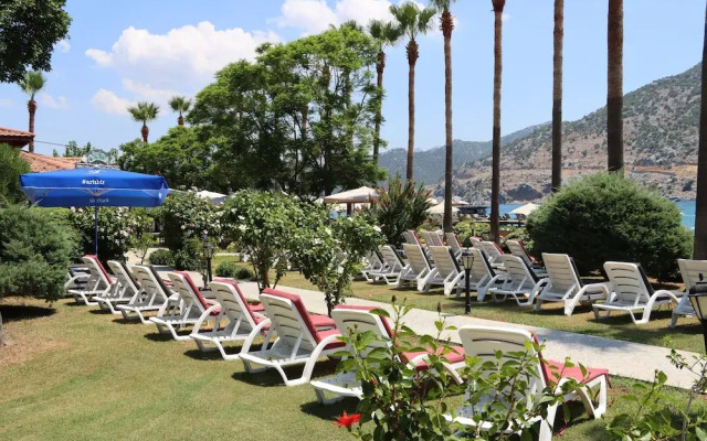 Palmetto Resort Hotel