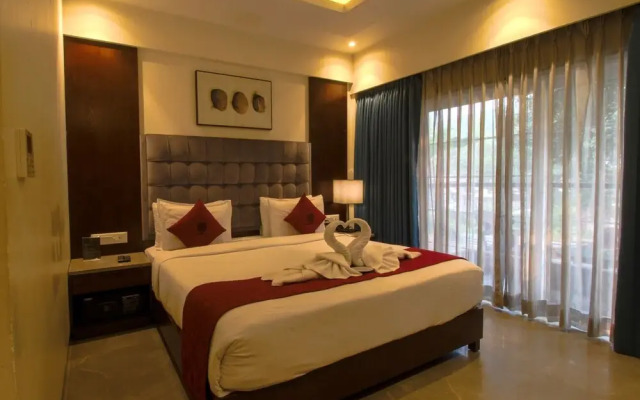 Basilica Rediscover Serenity