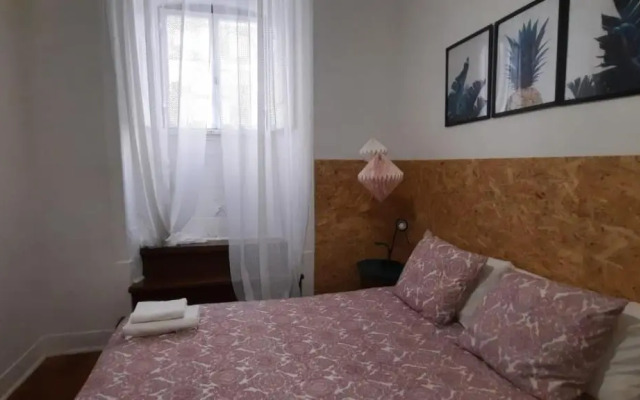 Sunny Terrace Apt, Close to Downtown! 2 Bedroom Flat