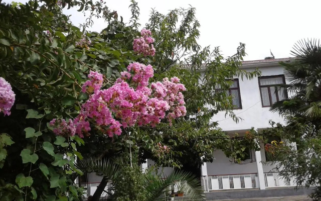 Avto House