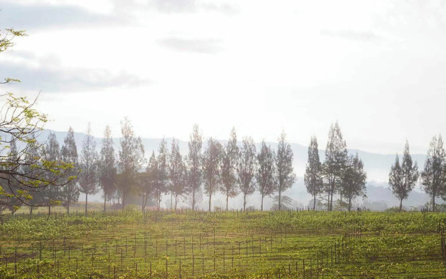 Village Farm & Winery