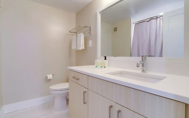 Crystal City Modern Apt w Gym