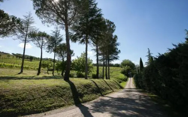 Tenuta San Filippo