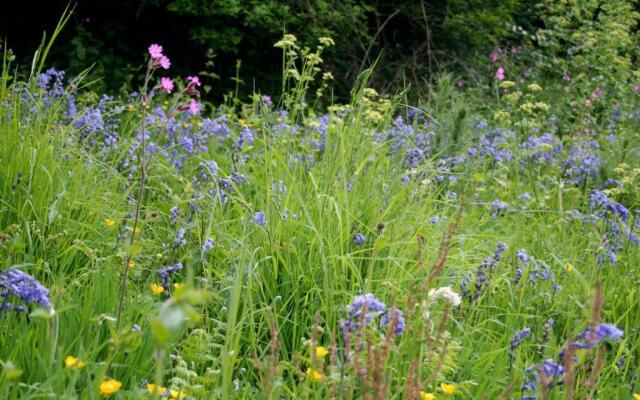 The Cottage Abbotsbury