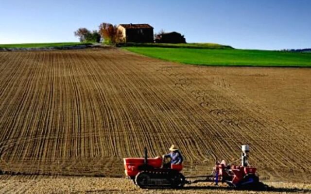 Country House La Tana della Lepre