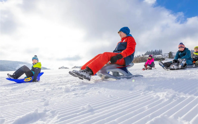 Mountain View Hotel Willingen, BW Signature Collection