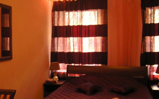 Игуана на Московском