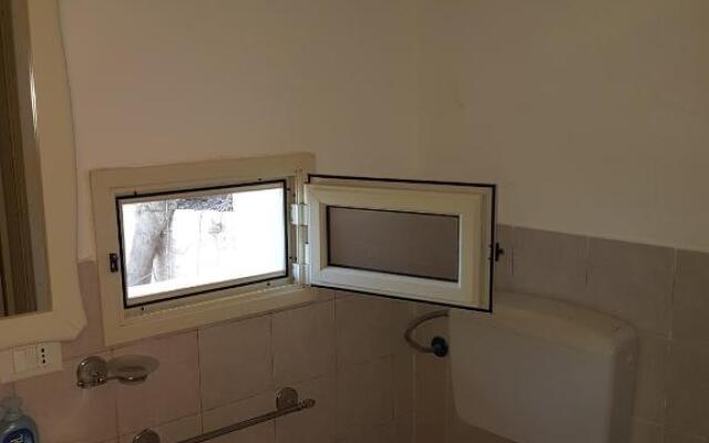 Suite Panoramic