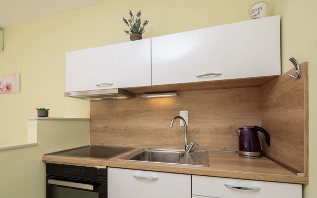 Apartments and Room Alen
