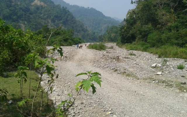 Shivpuri Valley Camp