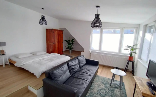 Attic studio Cathouse shared