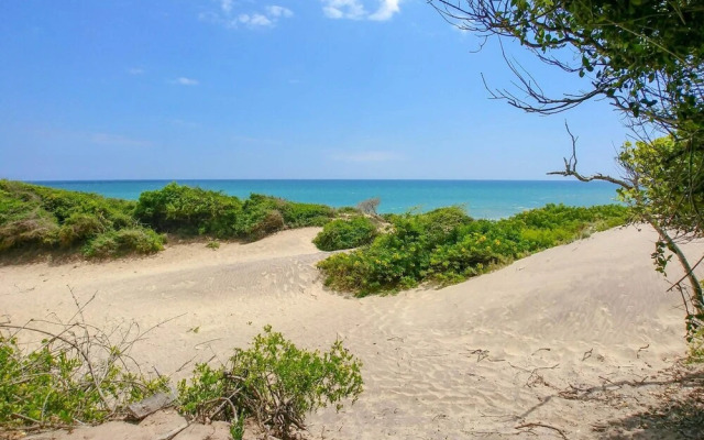 Back of Beyond Dune Camp - Yala