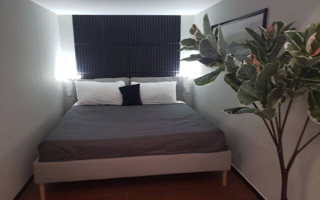 Singular Polanco Goldsmith