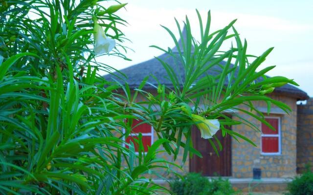 Devi Desert Resort and Retreat