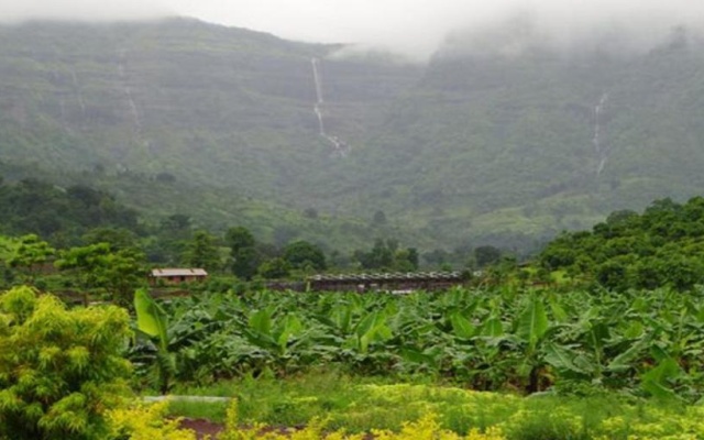 The Riverstone Agro Farm
