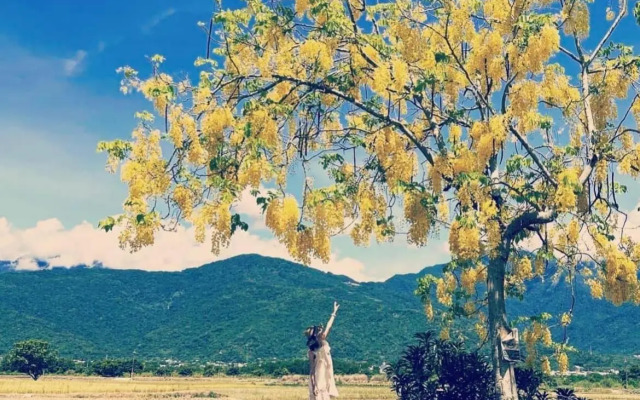 Pu Shi Homestay
