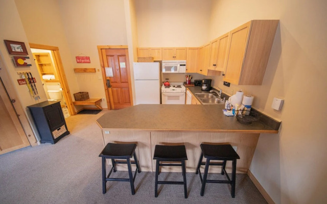 Buffalo Lodge 8411 by SummitCove Vacation Lodging