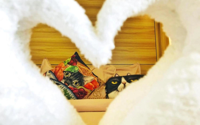 Cat Story Hotel