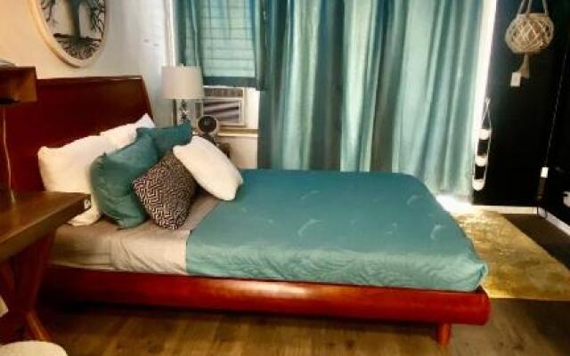 Lewers Studio Suite