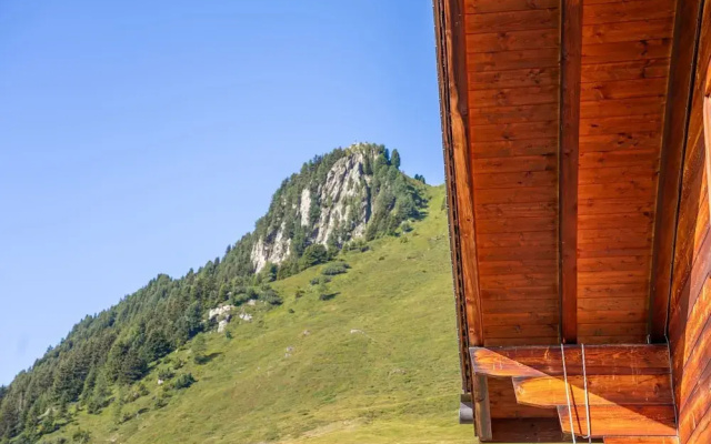 Chalet Collini