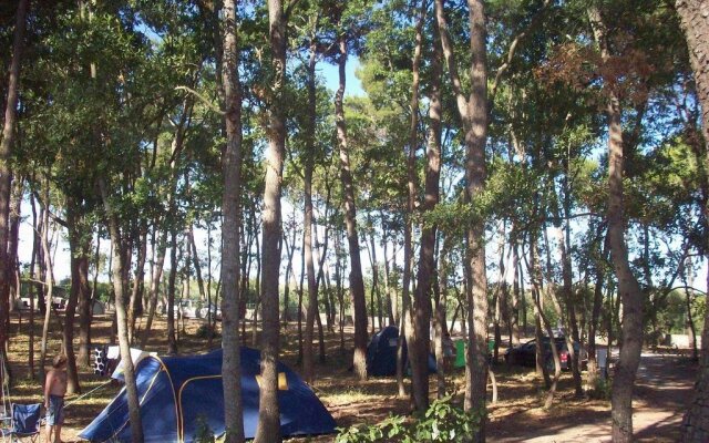 Villaggio Camping Bosco Selva