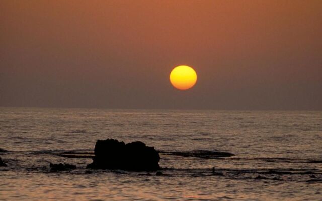 Dan Gardens Ashkelon