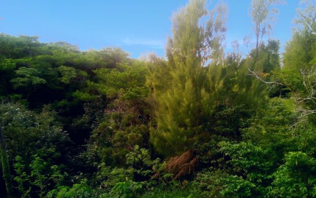 THE PERIDOT Smart Hotel Tancha Ward