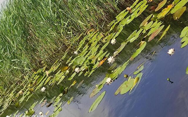 Dayly House Apartament Sulina