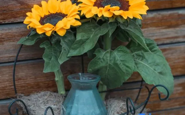 Hangzhou Yue Boutique Hotel (Longhu Zijing Tianjie Sandun Subway Station)