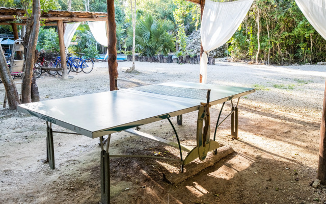 Jolie Jungle Eco Hotel