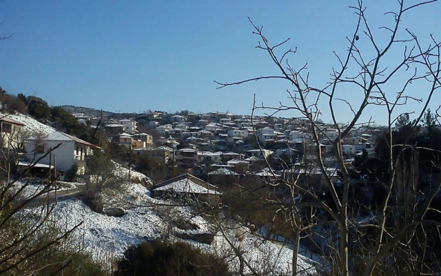 Viraggas