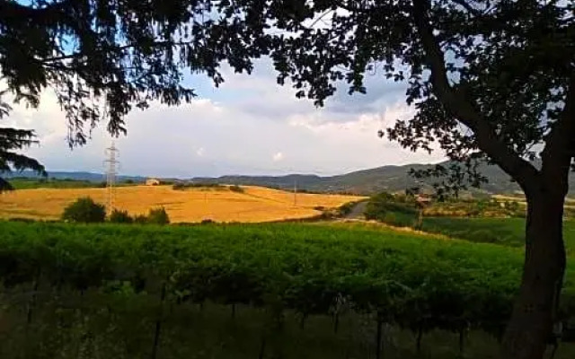 B&B La Gallinella Rossa