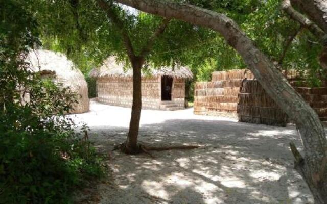 Mida Ecocamp