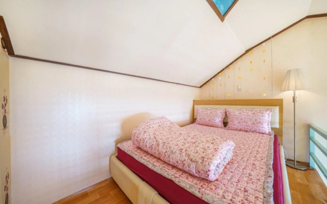 Chuncheon Nami Island N Pension